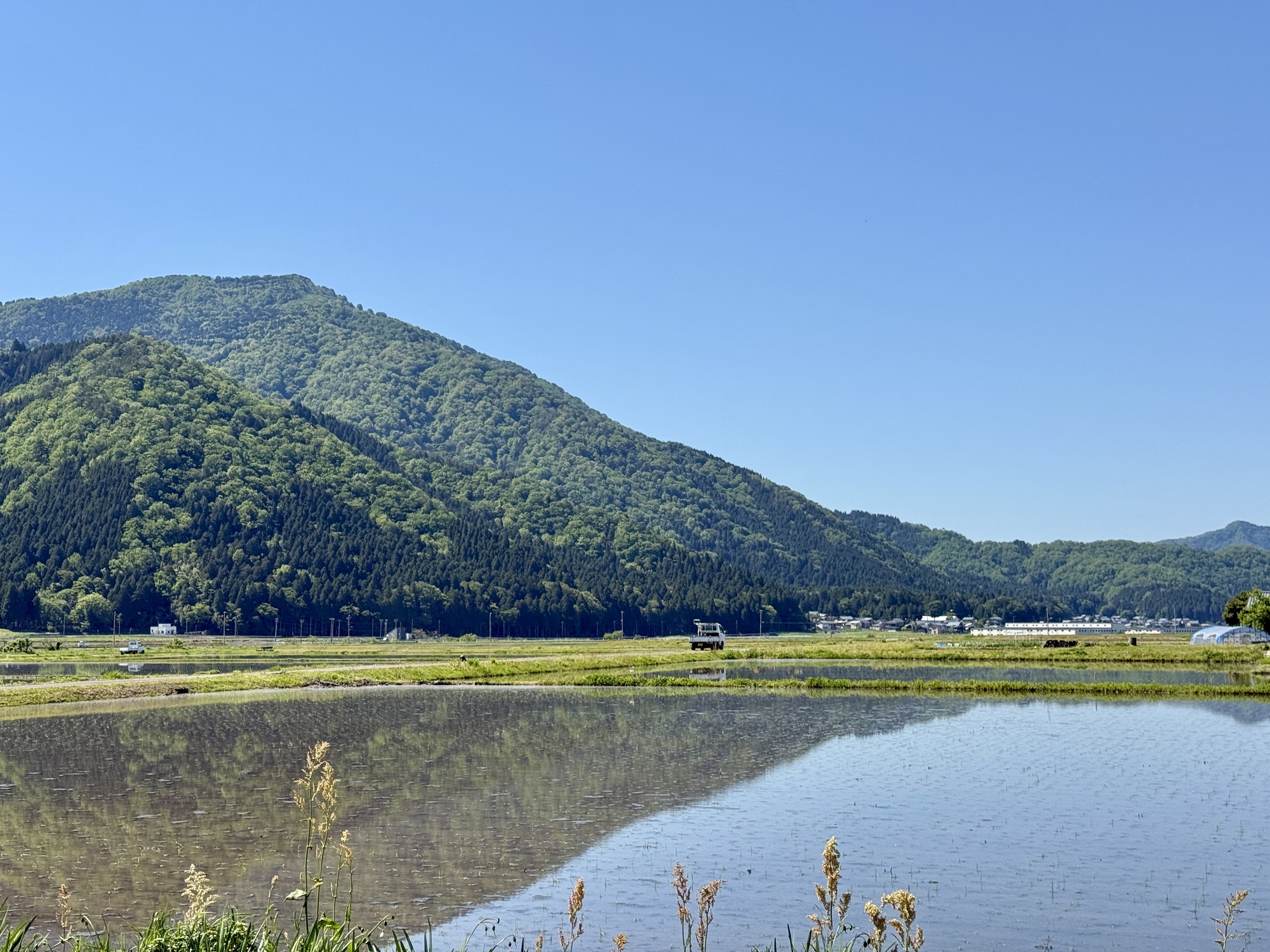 自然の力を活かした大地の再生