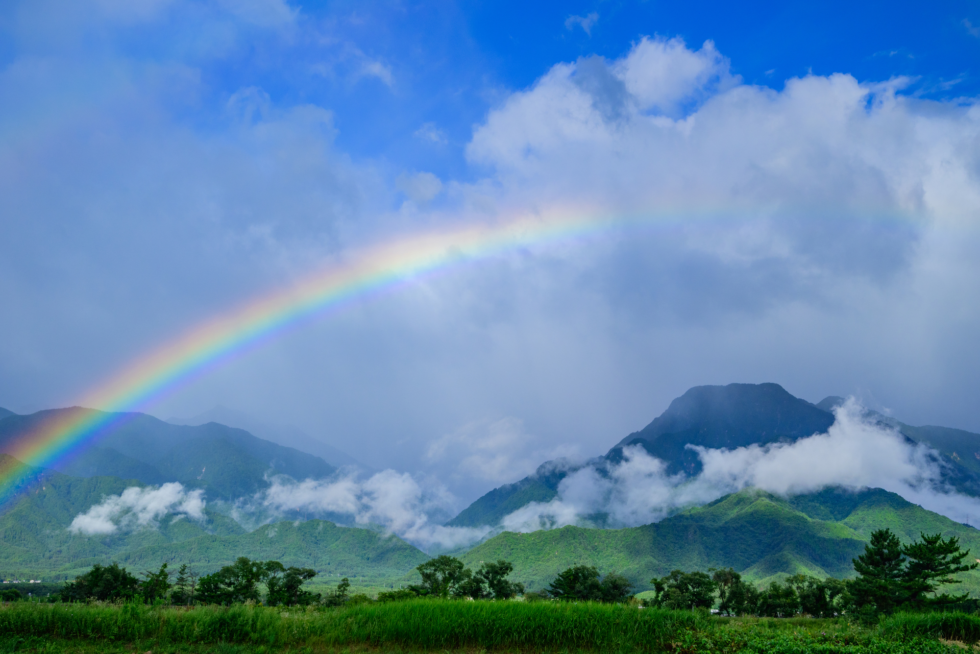 雨上がりの空に現れる虹